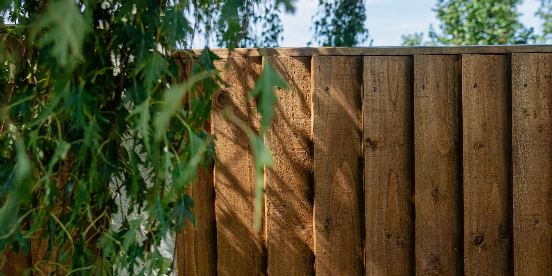 Masterpieces in British Timber Protection